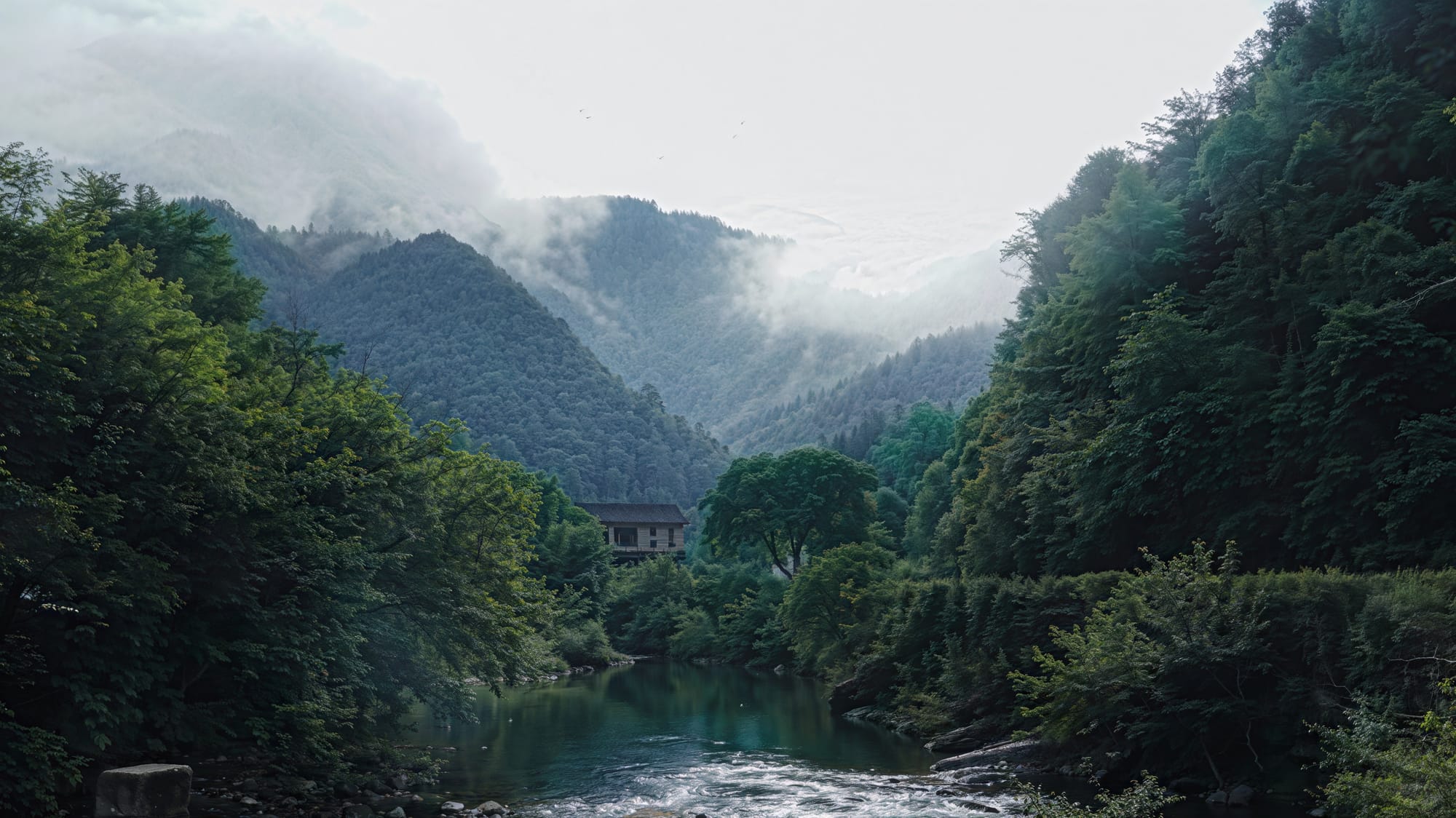 安徽·牯牛降🏞️:华东最后原始森林